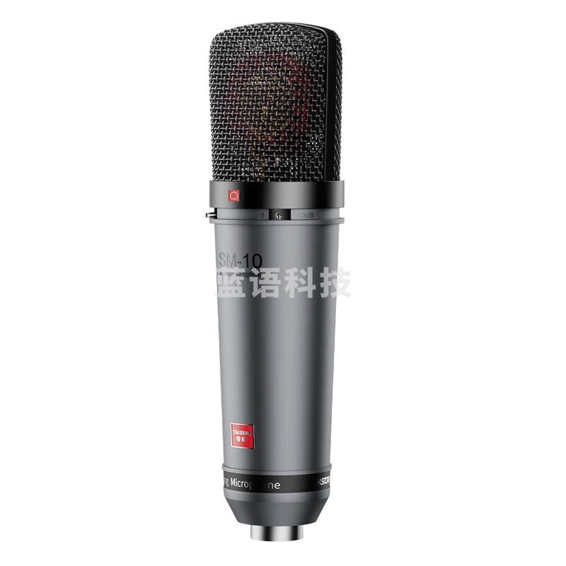 得胜(TAKSTAR)SM-10 专业录音麦克风 大合唱专业录音影视配音演出 48V话筒麦克风