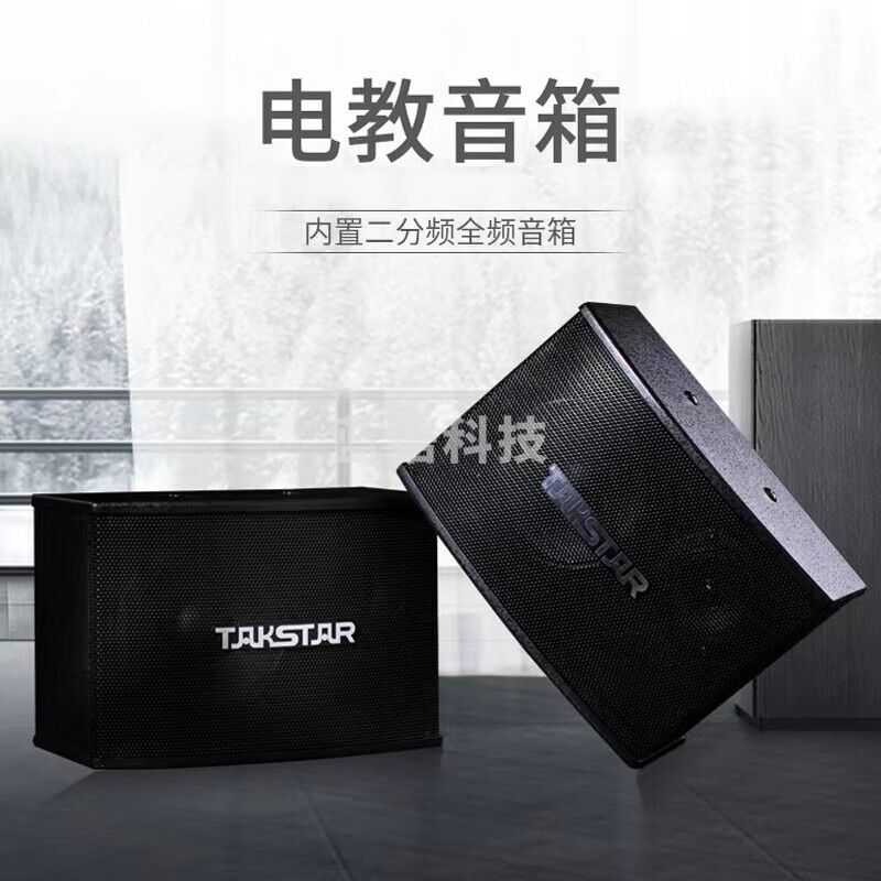 得胜(TAKSTAR)EKS-100音箱(对)适用于小型会议厅电教室小型KTV补声 电教音响喇叭 DBDZ款