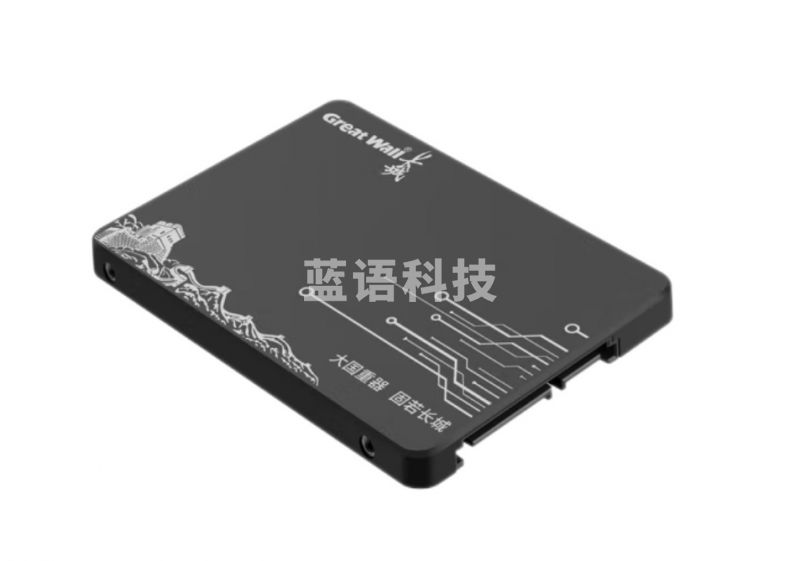 长城(Great Wall)GW600 笔记本台式机电脑2.5英寸SSD固态硬盘  256G