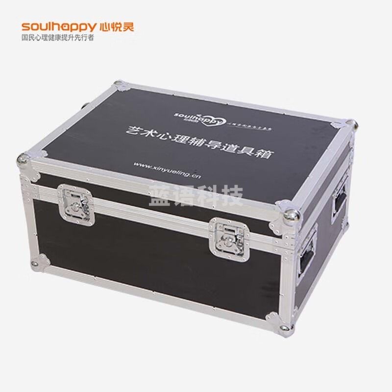 心悦灵 心理仪器 艺术活动箱  DTXYL-DHD03