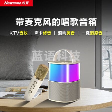 纽曼（Newmine）MC-600手提音响 无线蓝牙音箱 带麦克风