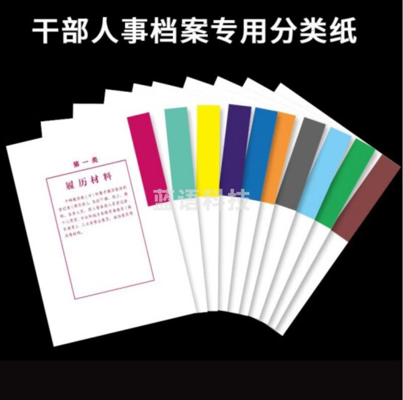 标准款人事干部档案分类纸 十大类隔页纸  白纸彩印字多款 一套装
