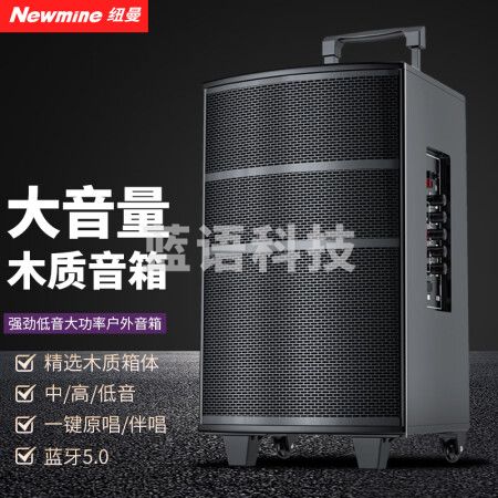 纽曼（Newmine）L23广场舞音响 8英寸木箱三分频喇叭大功率户外蓝牙音箱 无话筒