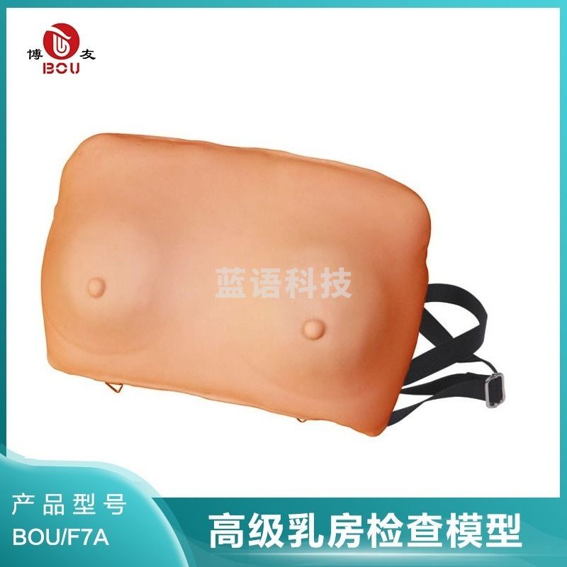 博友BOU/F7A高级乳/房检查模型