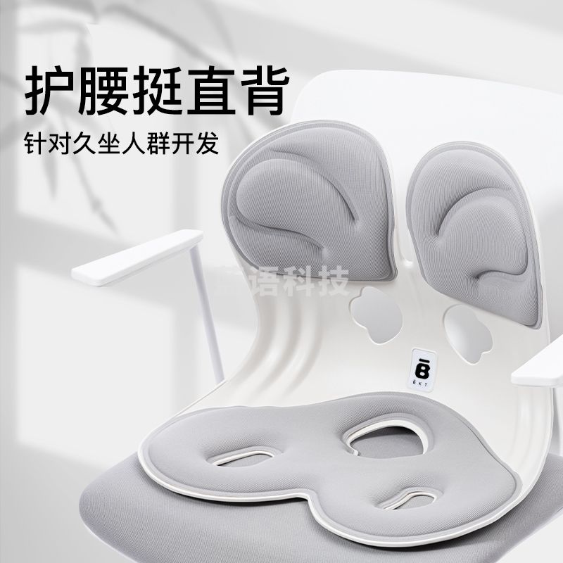 BKT护腰坐垫 靠背人体工学坐姿椅腰托(含定制座套)