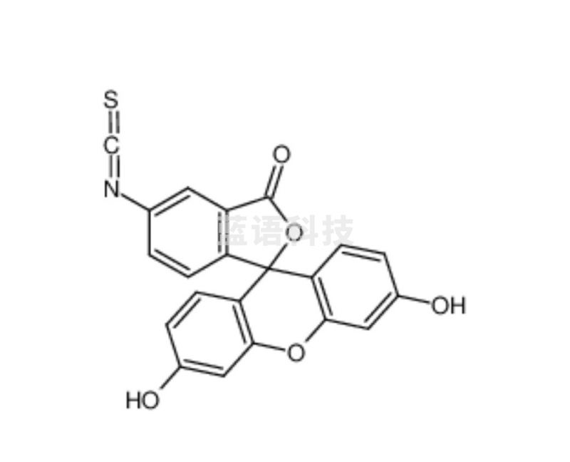 源叶生物 异 硫 氰 酸 荧光素  偶联级，90%