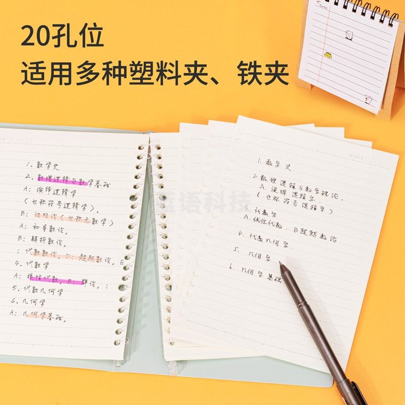 得力(deli) 192本/箱 A5/60张活页笔记本替芯20孔高效笔记格式替芯活页纸NA560-1
