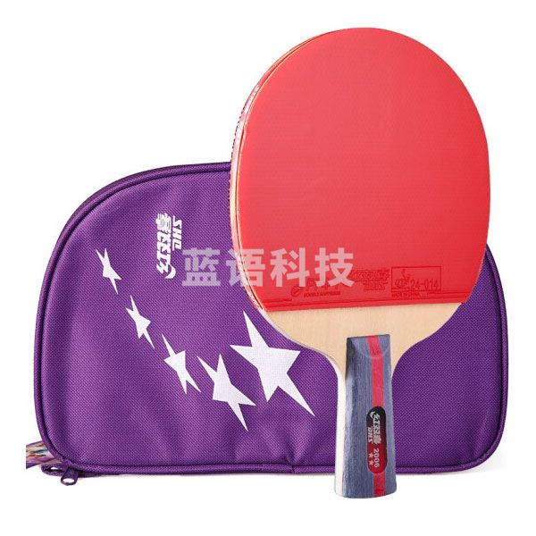 红双喜（DHS） H2006 二星级短柄直拍双面反胶乒乓球拍