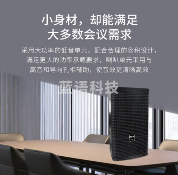 戴浦(DAIPU)DP-KP510视频会议专用音箱音响大功率低音黑色音箱适用会议室/教学/多媒体教室