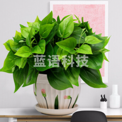 仿真绿植120cm18叶绿萝套装