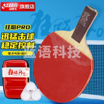 红双喜狂飚龙PRO礼盒装国手套胶成品兵乓拍HP01直拍乒乓球拍含拍套三星球