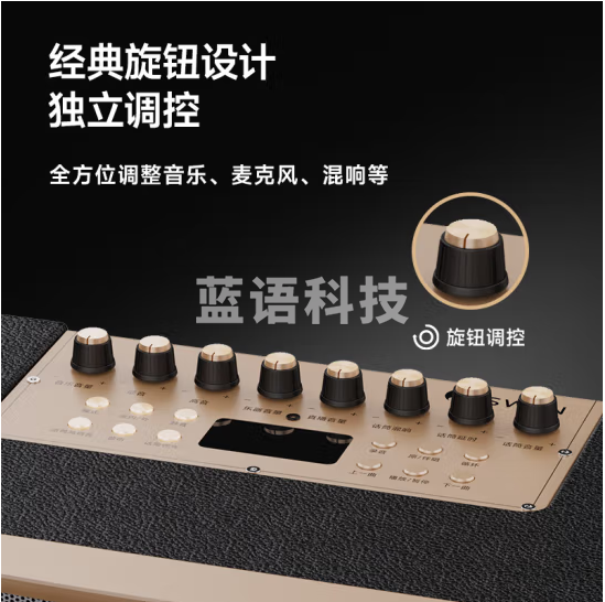 惠威（HiVi）便携式手提智能音响户外高音质蓝牙音箱移动广场舞KTV带无线话筒K歌音响MQ5电木吉他民谣乐器音箱