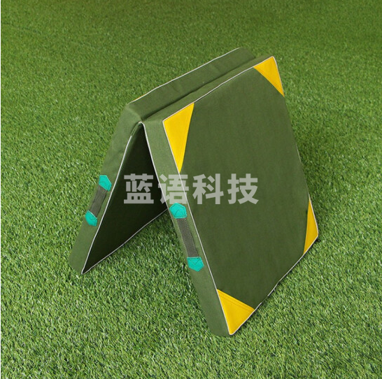 体操垫 可折叠体育垫 健身运动坐垫   尺寸2.5*1.8米    厚度5cm 珍珠棉 （块）货号：JC