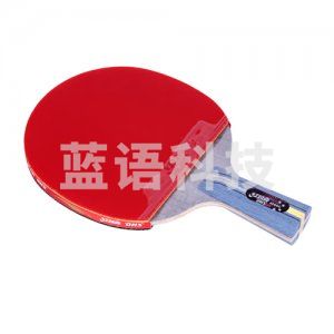 红双喜 DHS R4006C 四星碳素直拍乒乓球拍双面反胶快速进攻附拍套