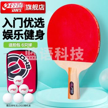 红双喜2星训练业余直拍入门级单拍乒乓球拍E206含6只装球