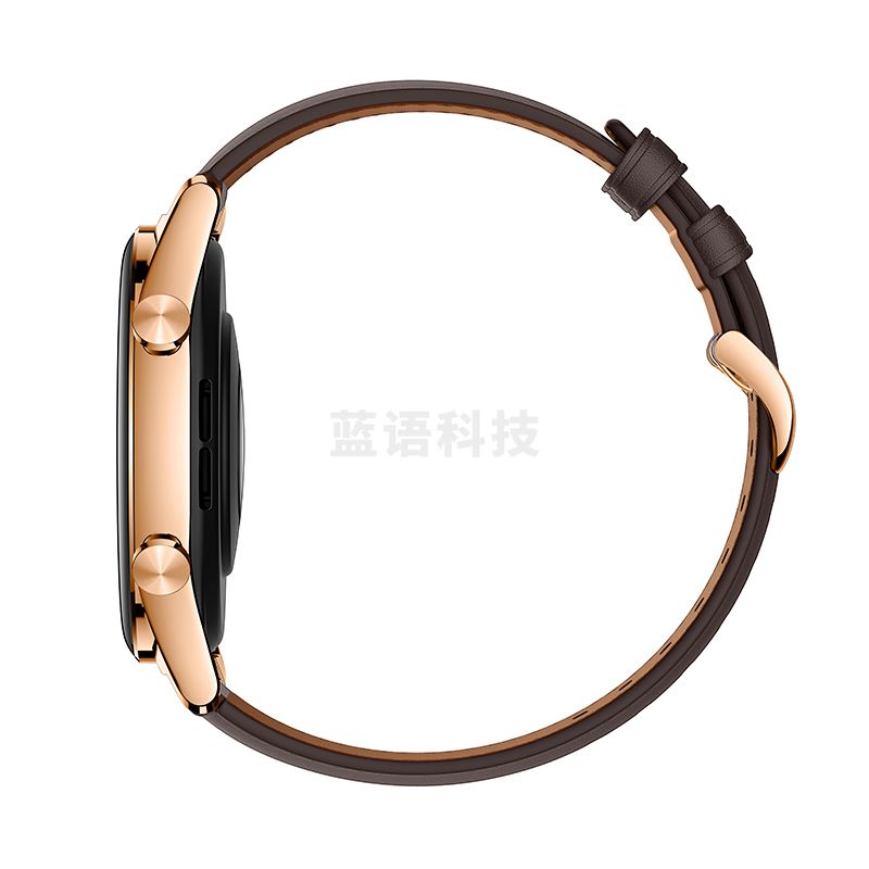 荣耀（HONOR）GS 3流光经典（雅致棕）4天强劲续航100+运动模式全天候血氧监测