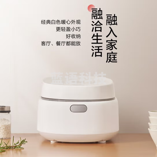 松下（Panasonic）SR-DL101电饭煲 3.2L小型电饭锅 定时预约 2-4人