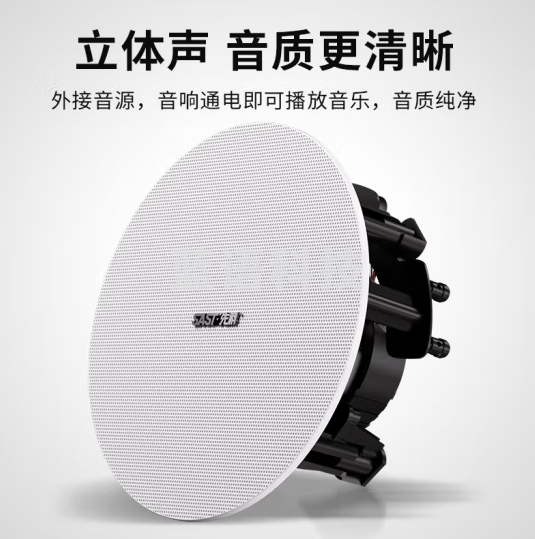 先科G5-C 吸顶喇叭音响 HiFi吸顶 高保真天花板吊顶音响