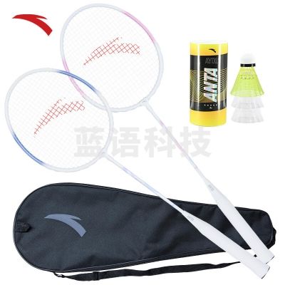 安踏 ANTA 613-1 羽毛球拍 对拍耐打深凹槽比赛训练尼龙球套装 紫粉对拍
