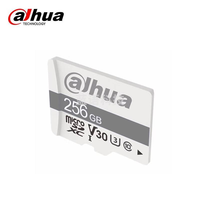 大华（Dahua） DH-TF-P100/256GB内存卡TF存储卡 P100系行车记录仪&摄影相机&手机平板