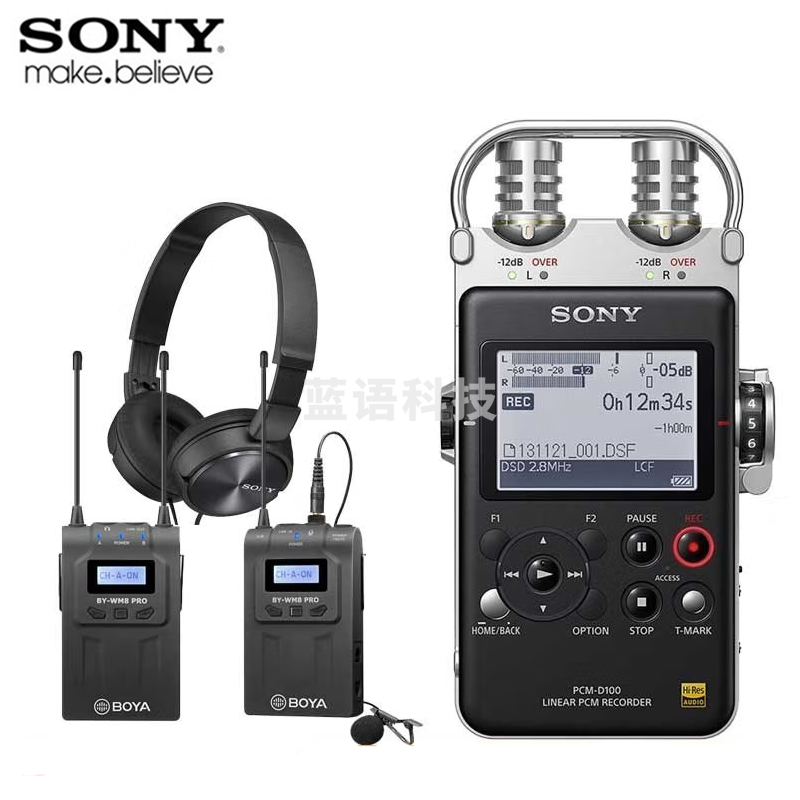 索尼（SONY） PCM-D100录音笔 数码录音棒 专业DSD播放格式 32G存储 商务乐器学习 PCM-D100索尼zx110耳机