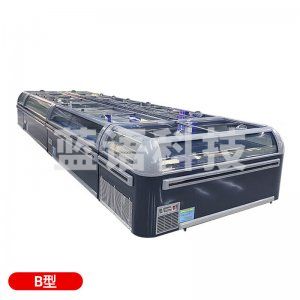 喜莱盛 B型直柜2.1米 组合岛柜冰柜冷冻柜展示柜 商超速冻水饺猪肉雪糕柜冷藏展示柜保鲜柜