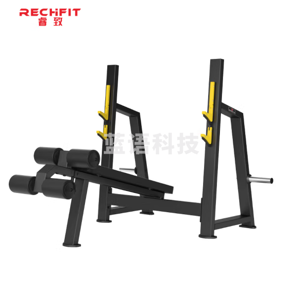 睿致（RECHFIT）SA926卧推架下斜推胸专项训练器健身房专用商用健身器材