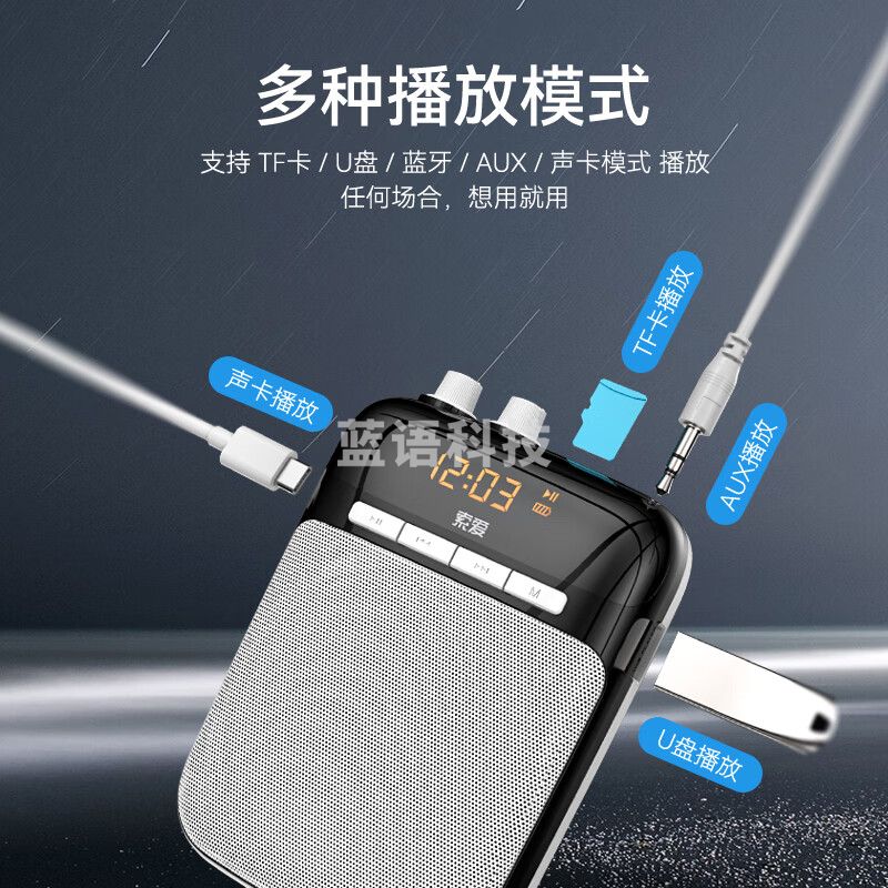索爱（soaiy） S318 小蜜蜂扩音器教师专用智能防啸叫10W麦克风蓝牙喇叭导游导购音箱Type-C大功率PLUS版睿智黑