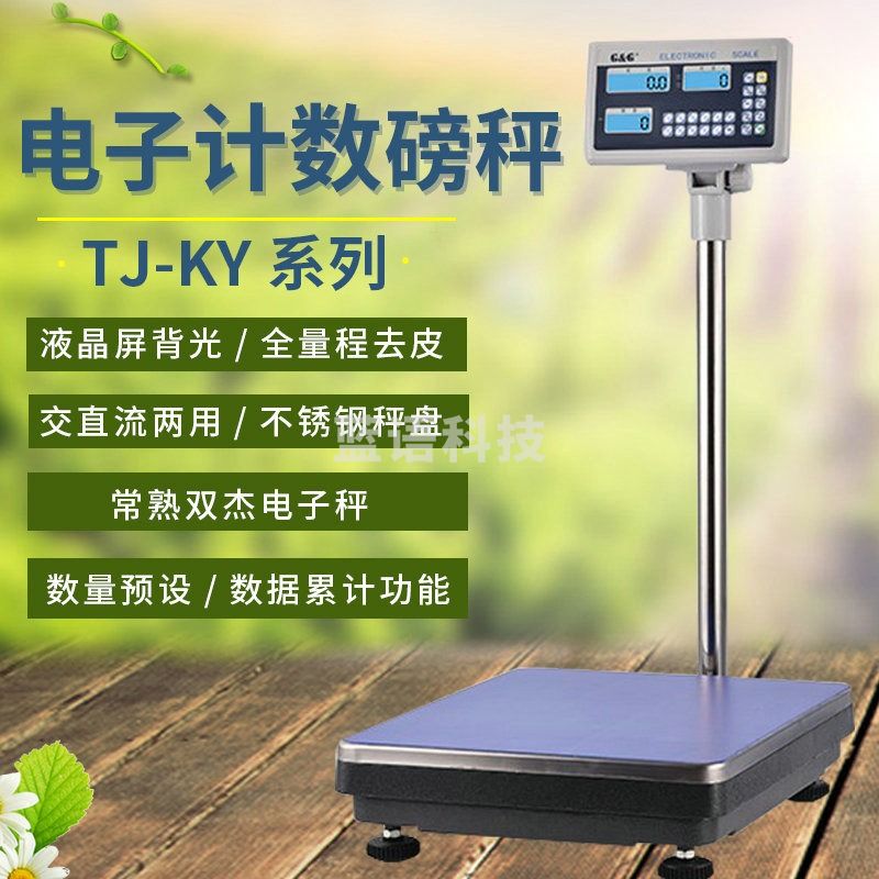 G&G计数台秤TJ60KY电子天平60kg/150kg/300kg/600kg工业台秤落地磅 TJ60KY(60KG/2G)