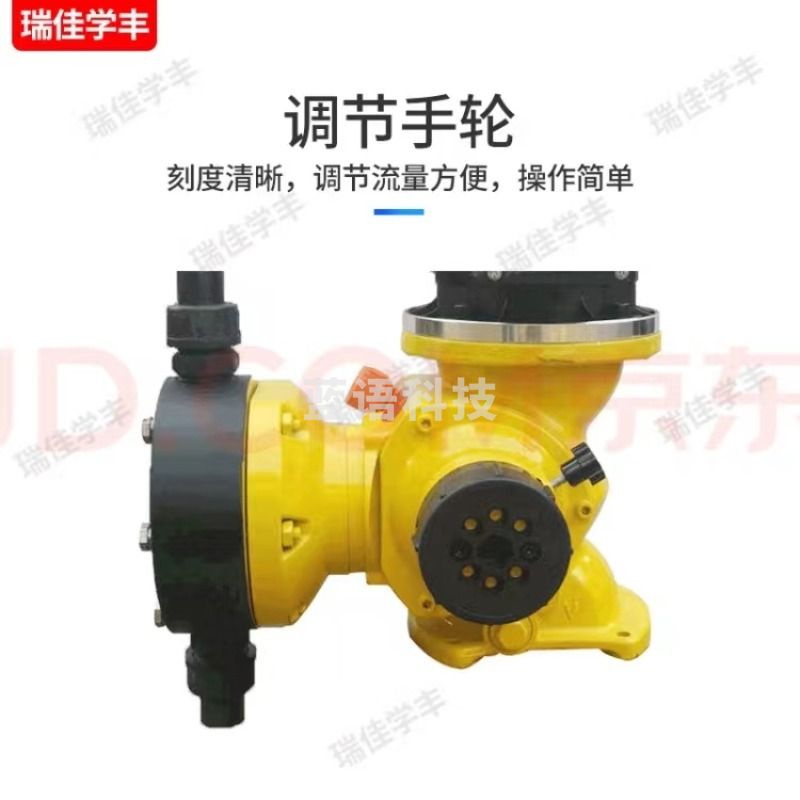 瑞佳 瑞佳学丰GM机械隔膜式计量泵流量泵酸碱加药泵加药柱塞式流不锈钢电动塑料耐腐蚀泵 GM-25L/1.0Mpa+单向阀*2+润滑油 水质污染防治设备 安全用仪器