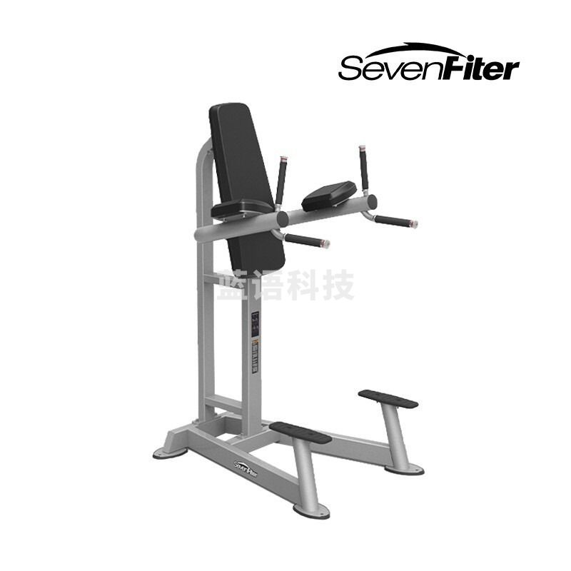 施菲特 SF3215提膝训练器自由力量器材健身房器材 大型健身器械龘