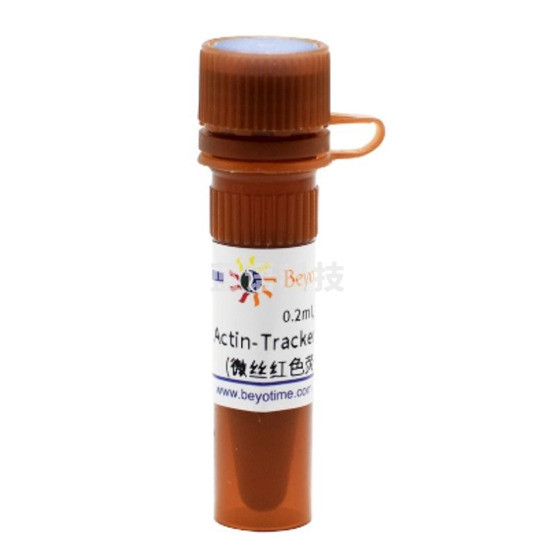 碧云天BEYOTIME Actin-Tracker Red-594(微丝红色荧光探针)