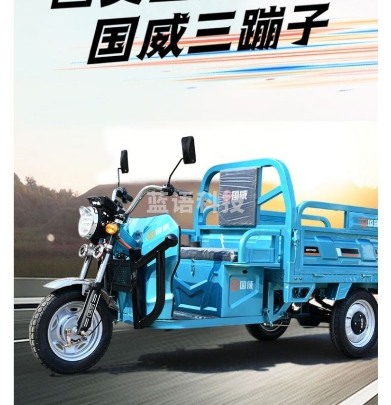 国威 60V20A铅酸 国威 72V45A铅酸 电动 三轮 大功率车 1.5米车厢 电动工具 其他防护