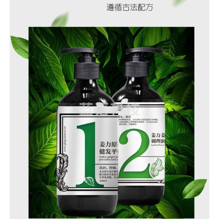 姜力生姜洗发水男女去屑控油洗发水护发生姜洗发露 1号洗发水500ml