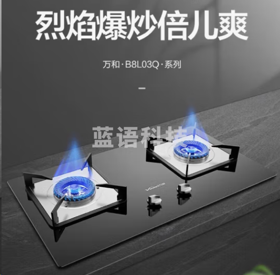万和B8-L03Q-12T天然气灶具 嵌入式猛火灶