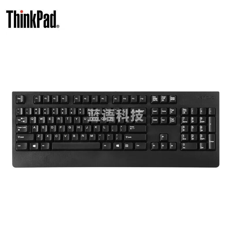 联想（Lenovo）ThinkPad 标准黑色USB有线键盘 家用办公电脑键盘 台式一体机笔记本外置键盘 4X30M86879