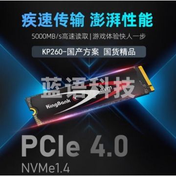 金百达(KINGBANK)512GB SSD固态硬盘 M.2接口(NVME PCIe 4.0x4) 读速5000MB/s KP260 长江存储晶圆 YGBE10241604324516