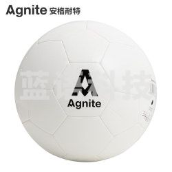 安格耐特（Agnite） F1201 5号TPU机缝足球（混色）