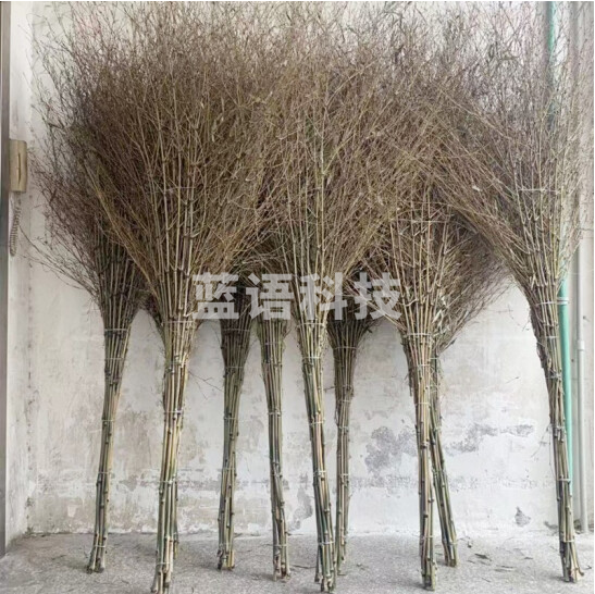 加厚一体式环卫大竹扫把 加厚笤帚(20把起售) (.023)