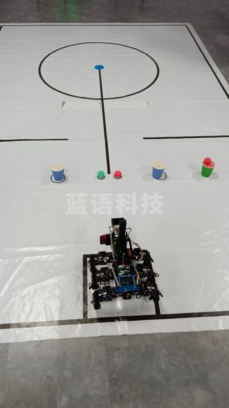乐博士 2025年A类场地道具