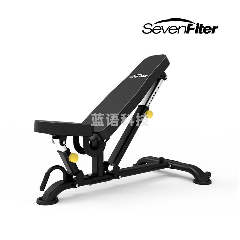 施菲特 SF204 可调式训练凳哑铃凳健身椅 力量训练器械