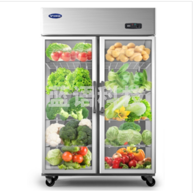 银都 866升展示柜 双门立式冷藏柜 玻璃门保鲜柜