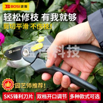 波斯（BOSI）推荐款修枝剪花剪树枝园林工具粗枝剪修果树省力剪刀 BS536058（8寸）