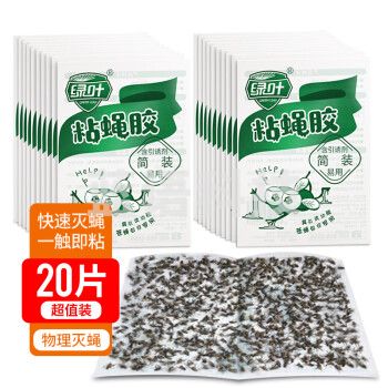 绿叶（Green Leaf）苍蝇粘板粘蝇胶捕蝇灭蝇器20张装 GL2110