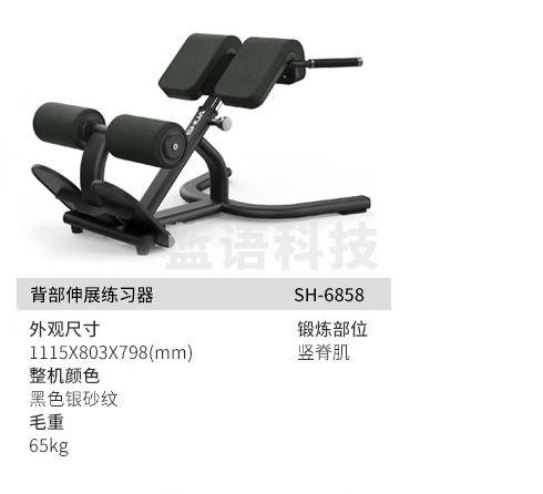 舒华(SHUA)多功能背肌训练器罗马椅腰部腹肌背肌训练器背部伸展运动SH-G6858