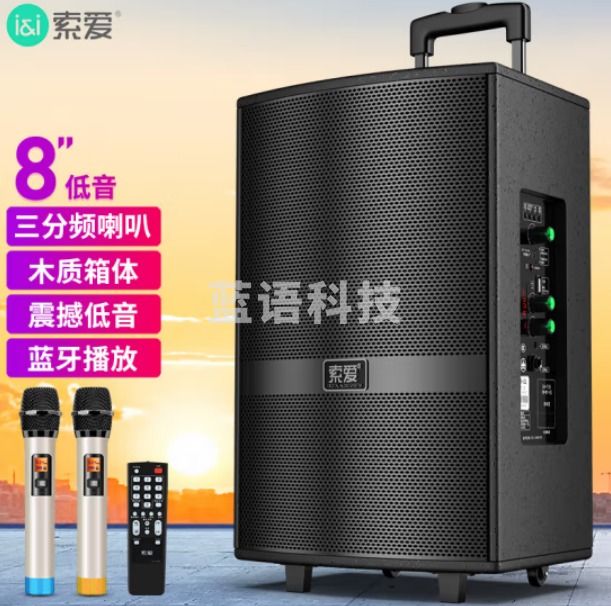 索爱 soaiy SA-X21 8英寸音响 户外蓝牙拉杆音箱 三分频喇叭+木箱+8英寸-双话筒