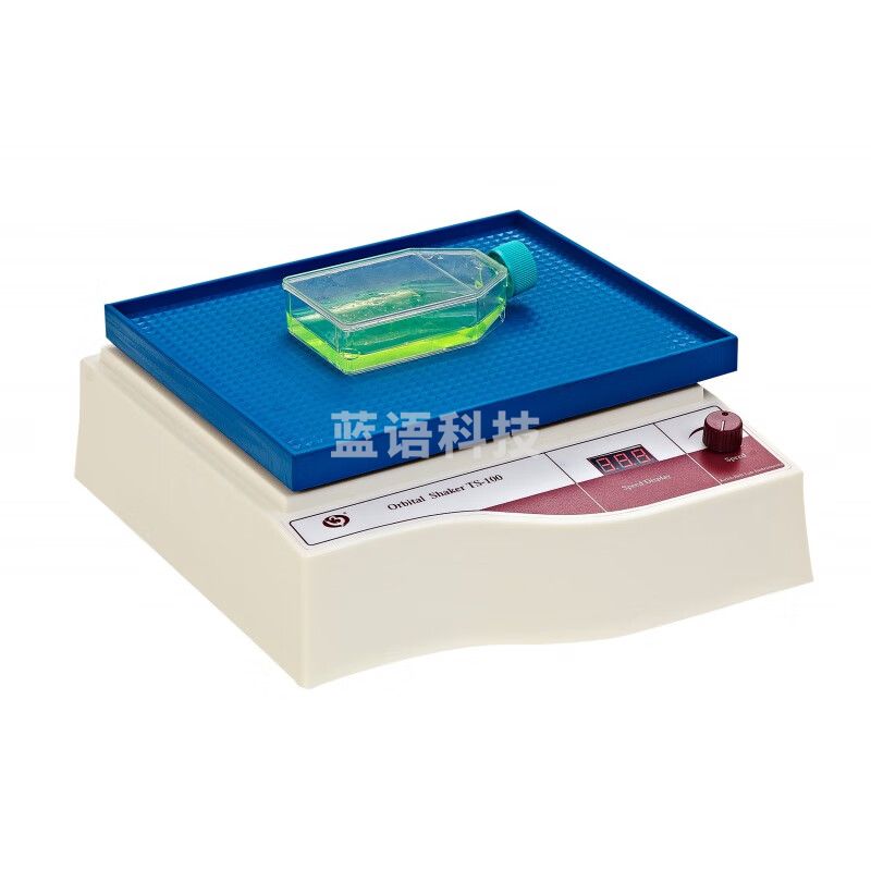 JISENPUER海门其林贝尔TS-100数显脱色摇床实验室转移万向摇床40-240转/分 TS-100数显脱色摇床