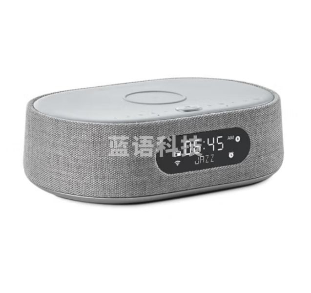 哈曼卡顿 (Harman Kardon) CITATION OASIS FM 音乐绿洲 人工智能音箱 带收音机和无线充电 支持Wi-Fi 灰色