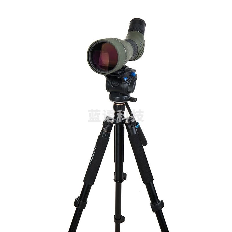 博冠（BOSMA） 变倍单筒观鸟镜望远镜高倍高清 鸿鹄2代ED镜大目镜APO设计ED镜片手机拍照户外 鸿鹄II 25-50x82 ED+TP60三脚架
