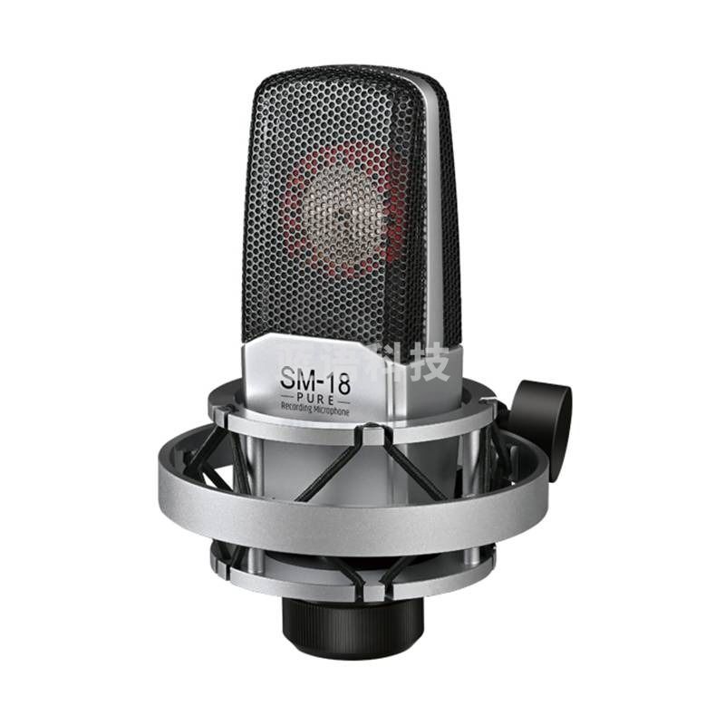 得胜 TAKSTAR SM-18 PURE 电容麦克风 唱K录音直播 银黑色 计价单位: 支